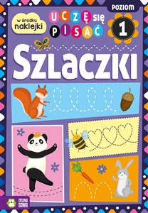Obrazek Uczę się pisać Szlaczki Poziom 1