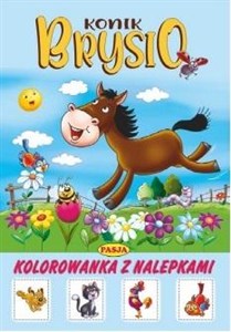 Obrazek Konik Brysio