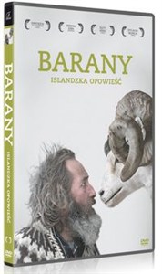 Obrazek Barany Islandzka opowieść
