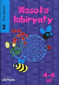 Picture of Plac tajemnic 2 Wesołe labirynty 4-6 lat
