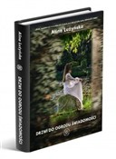 Polska książka : Drzwi do o... - Alina Lużyńska