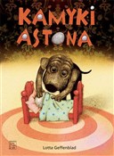 Zobacz : Kamyki Ast... - Lotta Geffenblad
