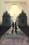Zobacz : Zaułki dob... - Adam Podlewski