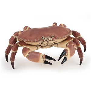 Picture of Krab