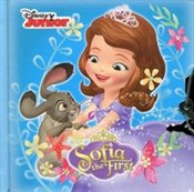 Pamiętnik ... -  books in polish 