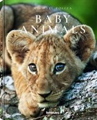 Baby Anima... - Michael Poliza - Ksiegarnia w UK