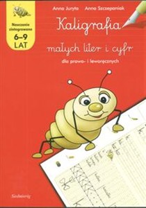 Obrazek Kaligrafia małych liter i cyfr