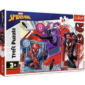 polish book : Puzzle Max...