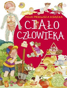 Picture of Moja pierwsza książka Ciało człowieka