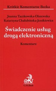 Obrazek Świadczenie usług drogą elekroniczną