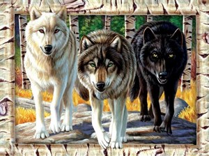 Picture of Puzzle 1000 Wilki