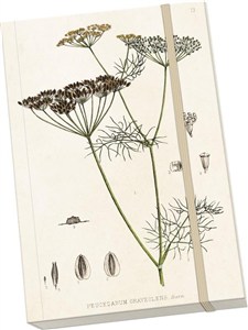 Picture of Notatnik ozdobny A5 STNOTE 89 Koper