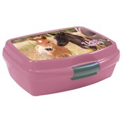 Śniadaniów... -  foreign books in polish 