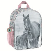 Książka : Plecak pas...