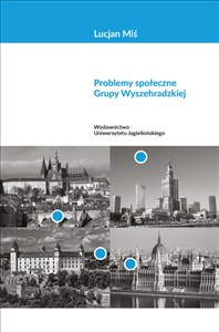 Obrazek Problemy społeczne Grupy Wyszehradzkiej