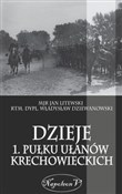 Dzieje 1. ... - Jan Litewski, Władysław Dziewanowski -  books from Poland
