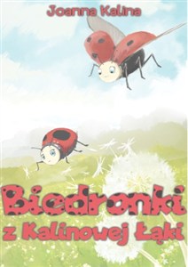 Obrazek Biedronki z Kalinowej Łąki