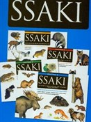 Ssaki - Michał Brodacki -  foreign books in polish 