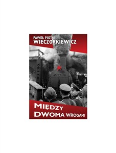 Obrazek Między dwoma wrogami Studia i publicystyka