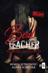 Obrazek Bad Teacher W mroku zmysłów