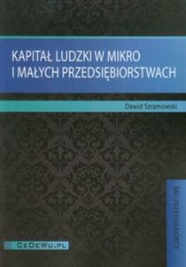Obrazek Kapitał ludzki w mikro i małych przedsiębiorstwach