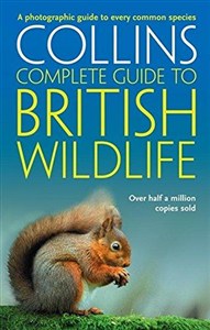 Picture of British Wildlife: A Photographic Guide to Every Common Species