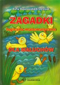 Picture of Zagadki logiczno matematyczne dla maluchów