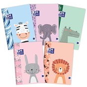 Książka : Paczka Zes...