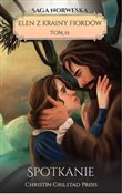Spotkanie - Christin Grilstad Prois -  books from Poland