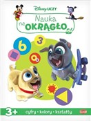 polish book : Disney ucz... - Opracowanie Zbiorowe