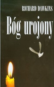 Picture of Bóg urojony