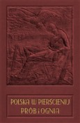 Polska książka : Polska w p... - Maciej Wieliczko