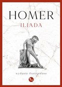 polish book : Iliada - Homer
