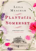 Polska książka : Plantacja ... - Leila Meacham