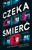 polish book : Czeka Cię ... - Cynthia Murphy