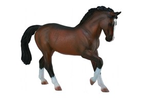Obrazek Ogier Warmblood Stallion - Bay