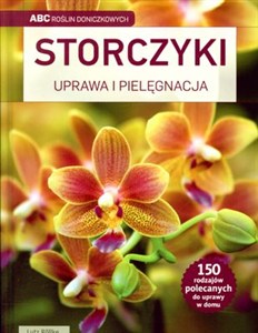 Obrazek Storczyki Uprawa i pielęgnacja