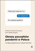 Obrazy poc... - Katarzyna Dojwa-Turczyńska, Irena Wolska-Zogata -  Polish Bookstore 