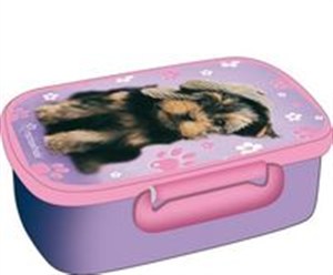 Picture of Pojemnik na śniadanie