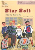 Słup soli - Elżbieta Zubrzycka -  Polish Bookstore 