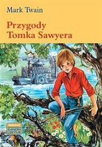 Obrazek Przygody Tomka Sawyera
