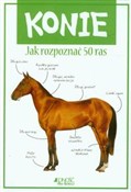 Polska książka : Konie Jak ... - de la Camilla Bedoyere