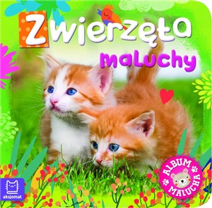 Obrazek Album malucha. Zwierzęta maluchy