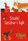 Ssaki lasó... - Małgorzata Wilamowska -  books in polish 