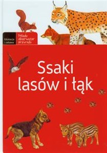 Obrazek Ssaki lasów i łąk