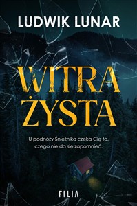 Obrazek Witrażysta