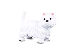Obrazek Pies West Higland white terier