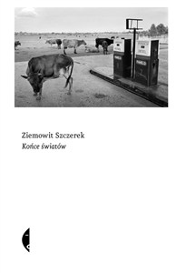 Obrazek Końce światów