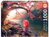 Książka : Puzzle 100...