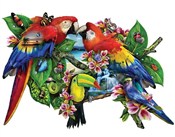 Polska książka : Puzzle 100...